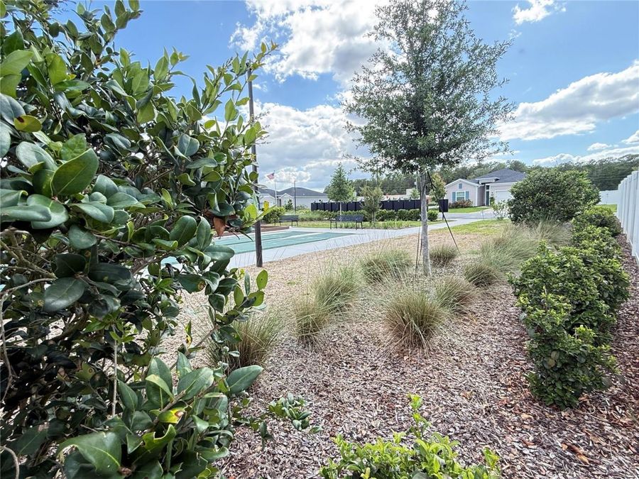 Property Image 92