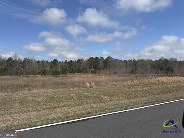 0 Whitlfield Road, Elko, GA 31025