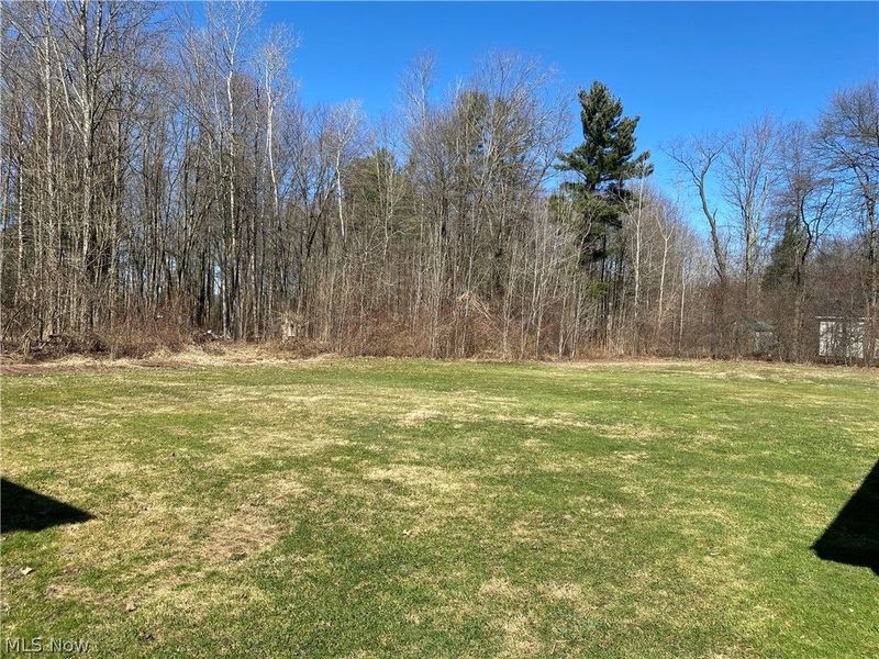 195 Case Avenue, Andover, OH 44003 Photo 5