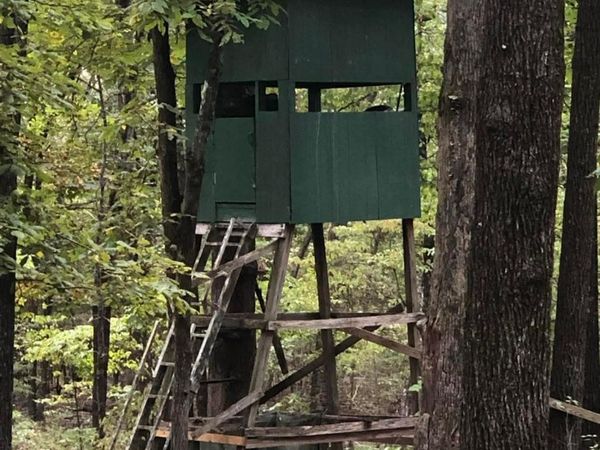 51 Buck Ridge Lane, Williford, AR 72482