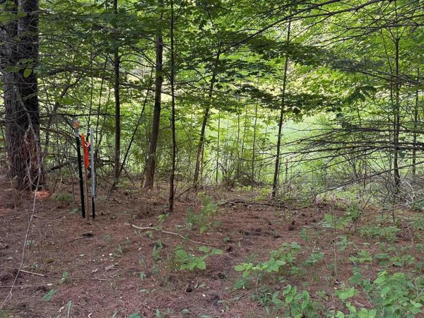 Rushton Road, Ellsworth, MI 49729