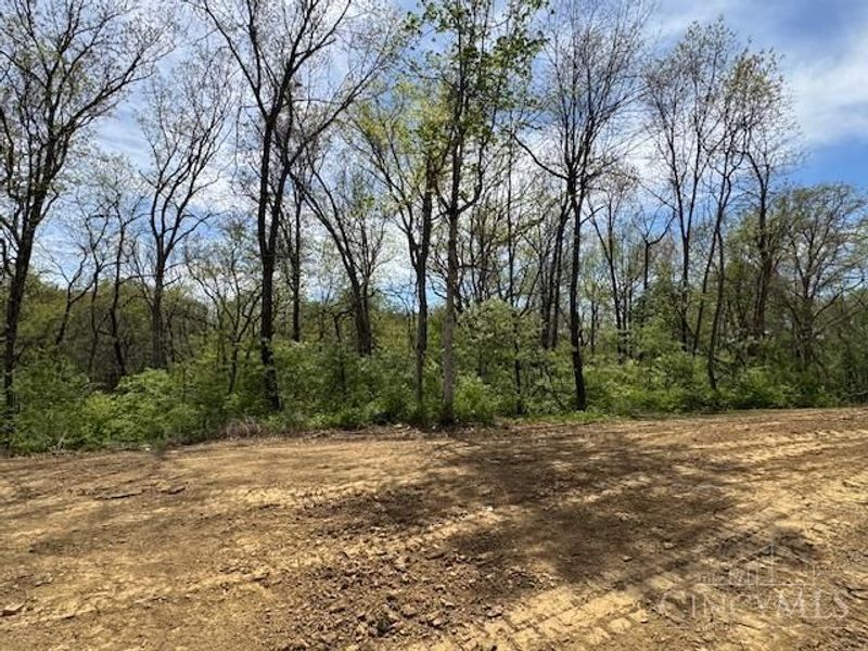 3561 Sunny Acres Drive, Unit RT253, Ross Twp, OH 45013 Photo 10