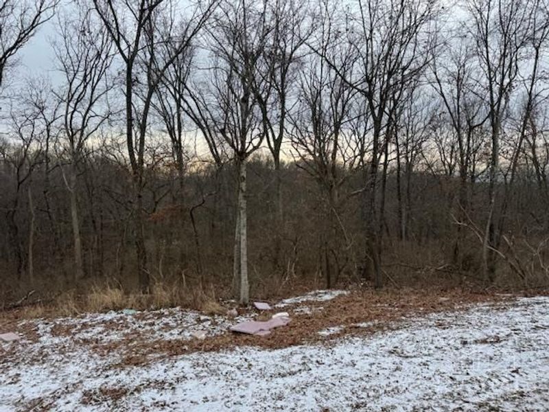 3561 Sunny Acres Drive, Unit RT253, Ross Twp, OH 45013 Photo 33