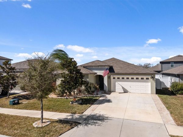 10387 SCARLETT SKIMMER DRIVE , RIVERVIEW, FL 33578