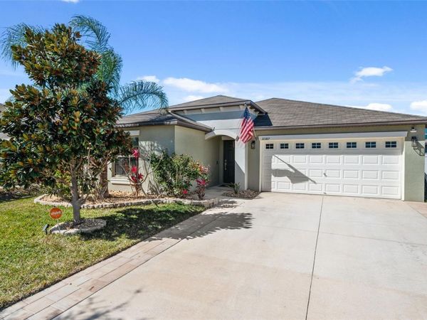 10387 SCARLET SKIMMER DRIVE, RIVERVIEW, FL 33578