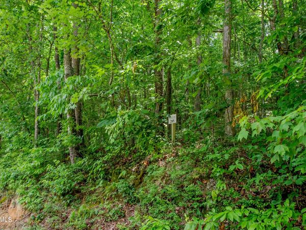 4521 Huffine Rd, Loudon, TN 37774