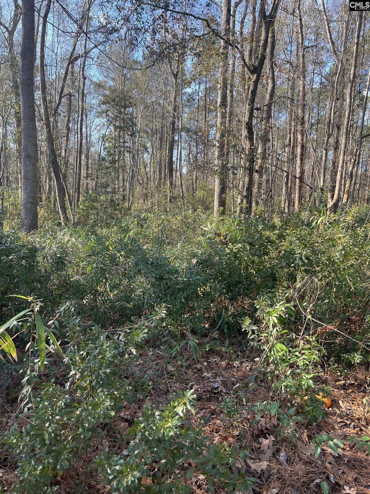 15 Derby Lane  Photo 15