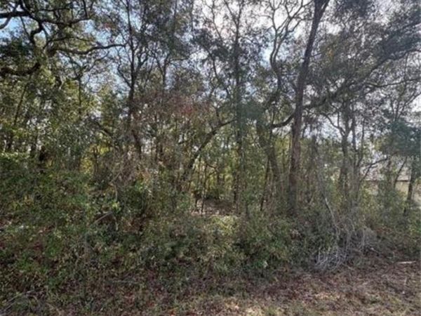 TBD LOCUST LOOP TERRACE , OCALA, FL 34472