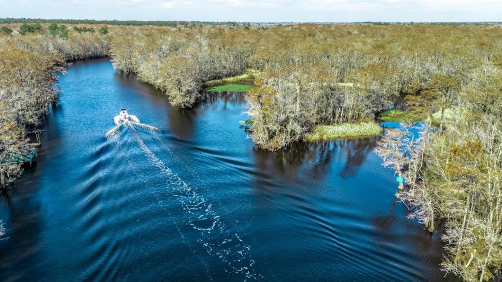 5161 Pitch Landing Dr. Photo 25