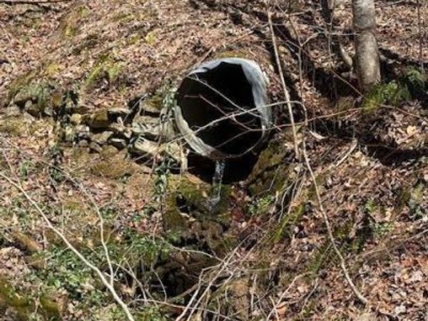 Tbd Spivey Mountain Road, Erwin, TN 37650