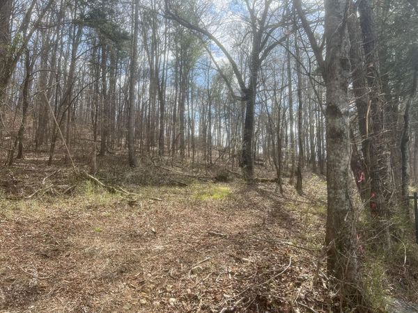 Lot 3 Candies Creek Ridge Road, Cleveland, TN 37312