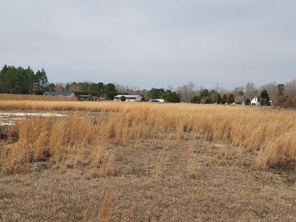 637 Bright Harvest Drive , Maysville, NC 28555