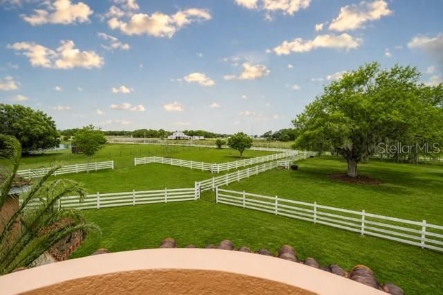 4015 Indigo Road, Groveland, FL 34736 Photo