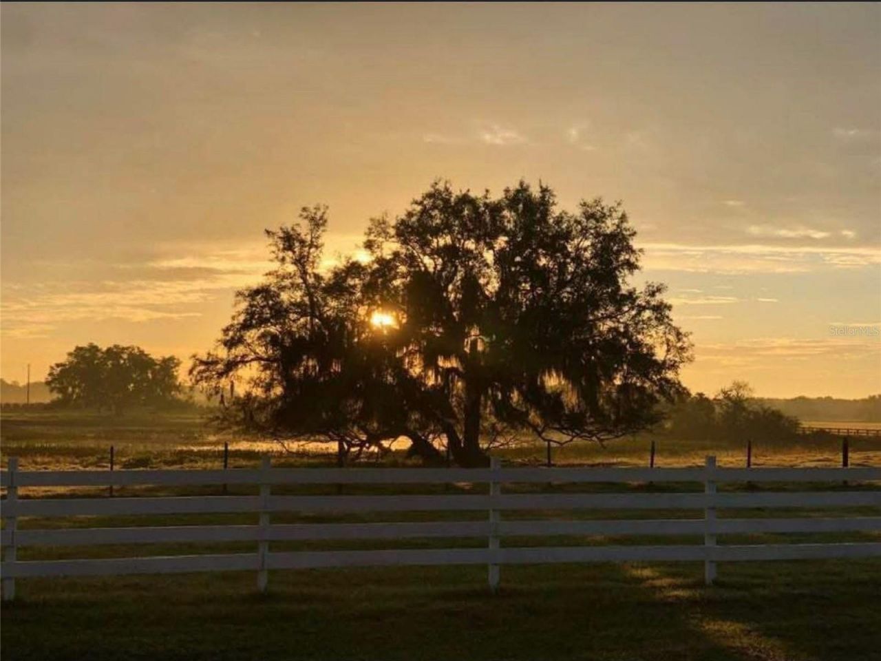 4015 Indigo Road, Groveland, FL 34736 Photo