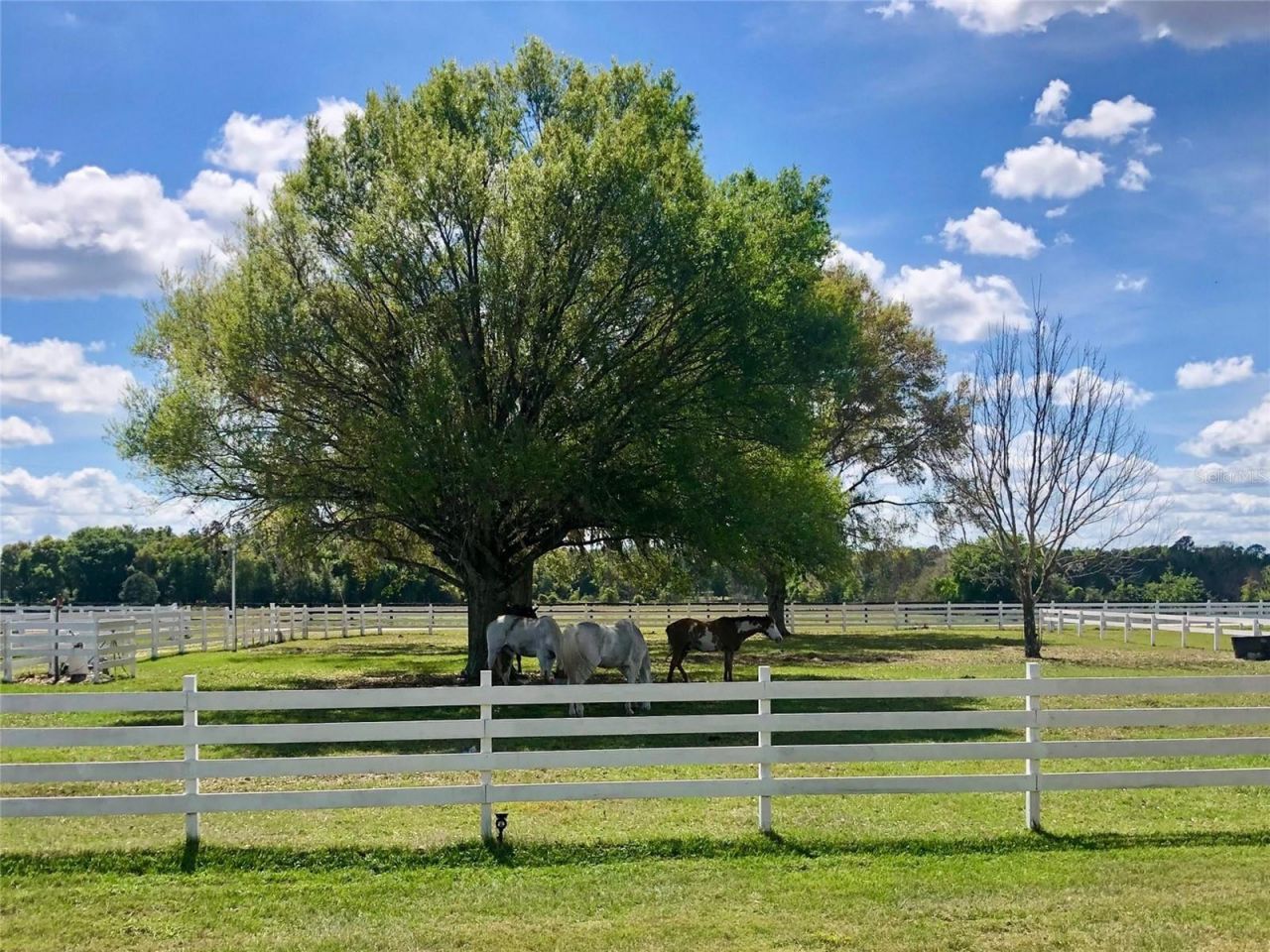 4015 Indigo Road, Groveland, FL 34736 Photo