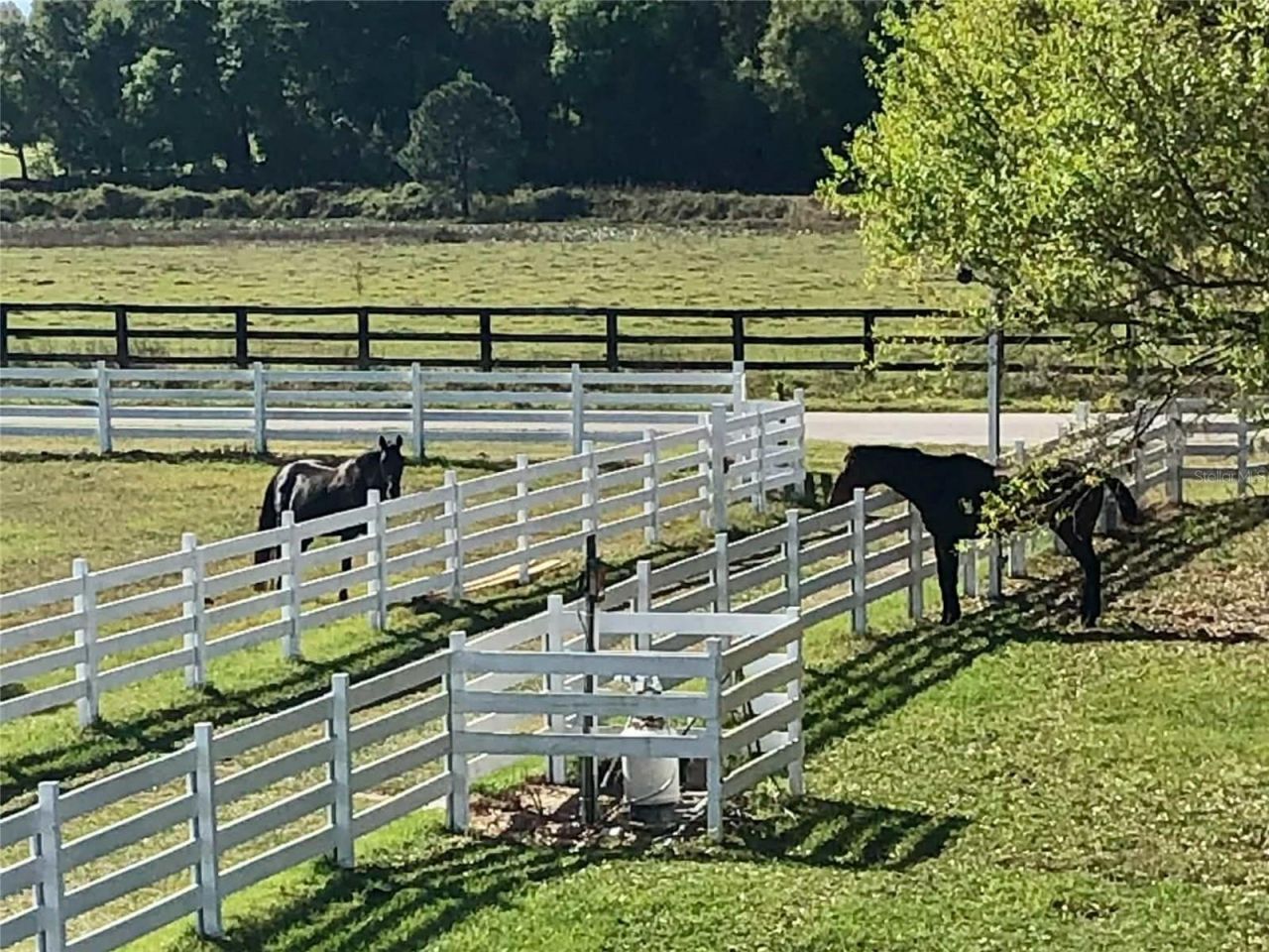 4015 Indigo Road, Groveland, FL 34736 Photo