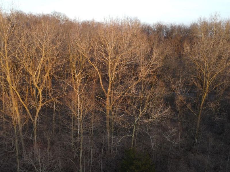 4050 River Road, Sidney, OH 45365 Photo 59