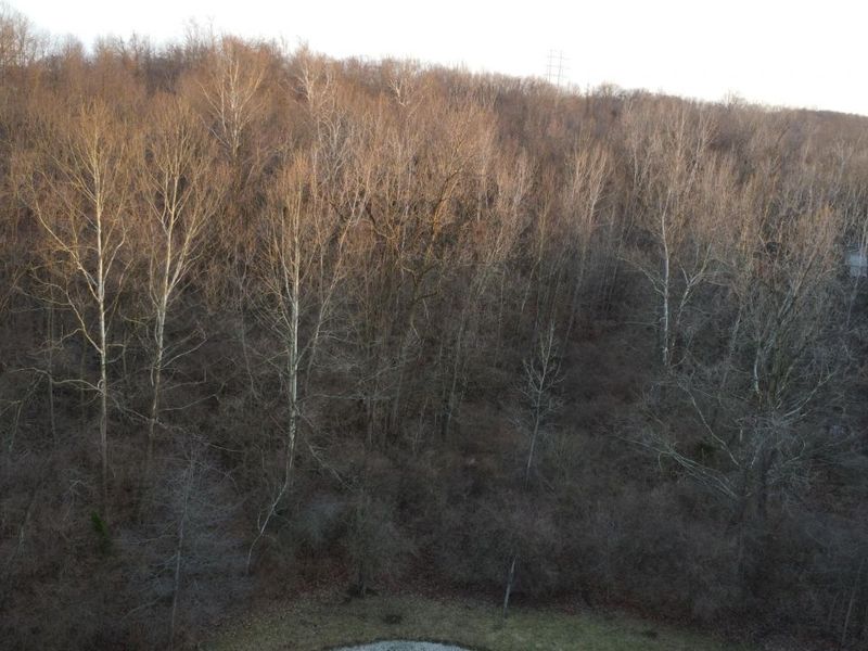 4050 River Road, Sidney, OH 45365 Photo 63