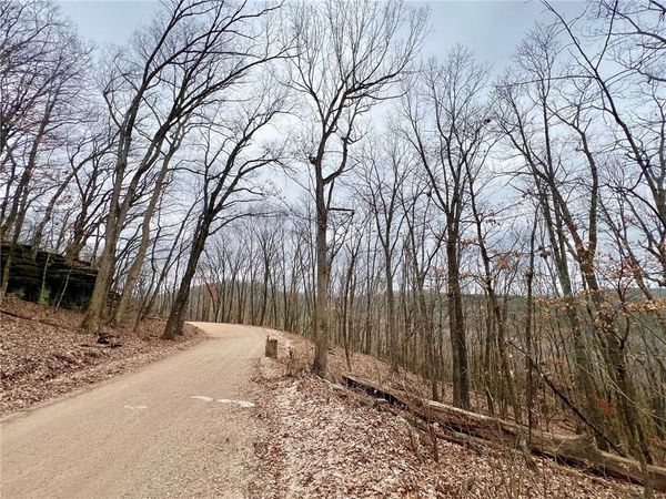 TBD CR 246 265-00160-000, Berryville, AR 72616