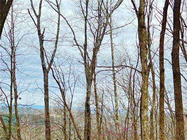 TBD CR 246 265-00160-000 , Berryville, AR 72616