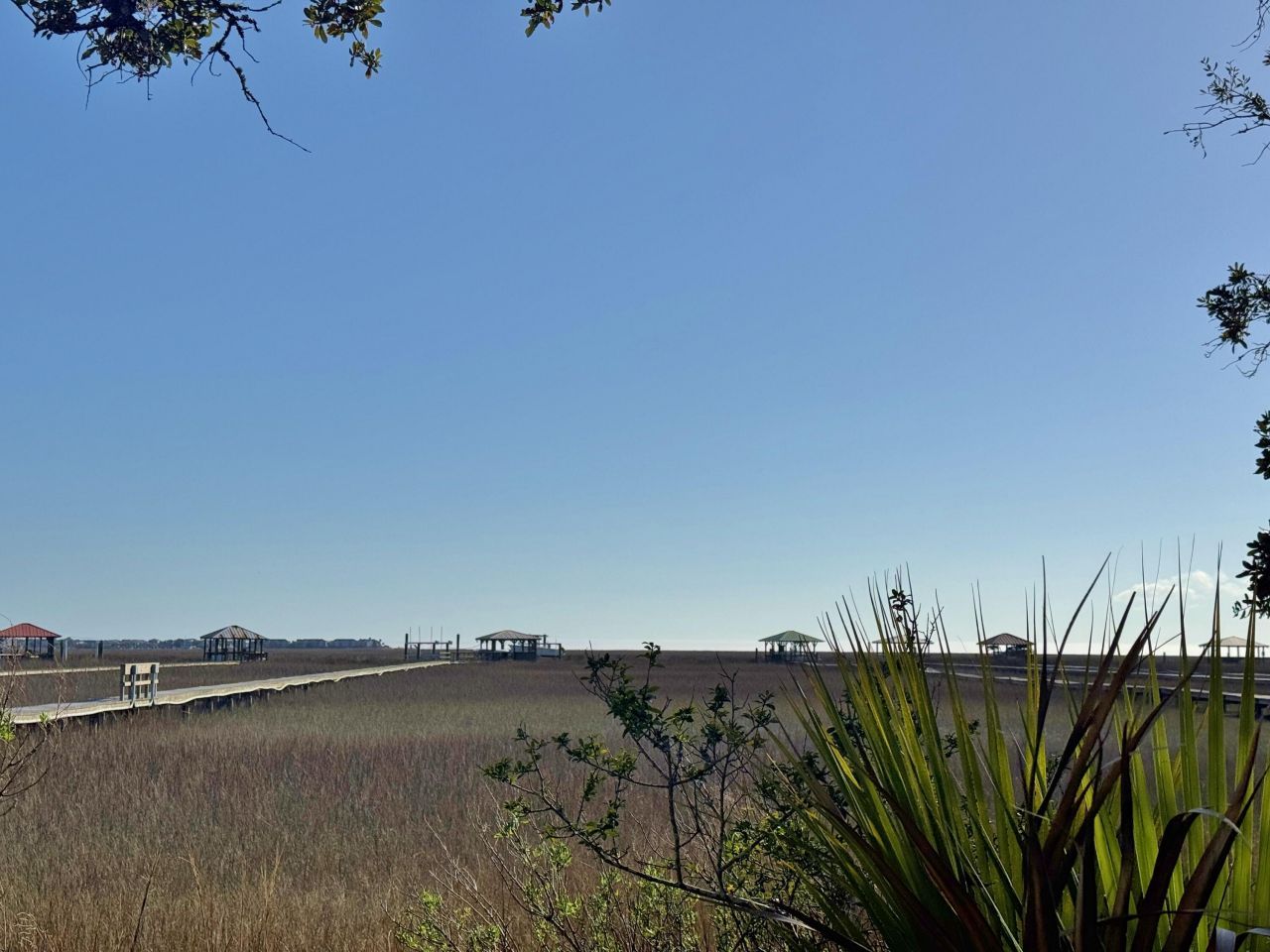 0 Palmetto Road Photo 2