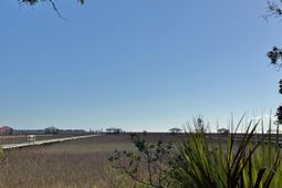 0 Palmetto Road photo 4