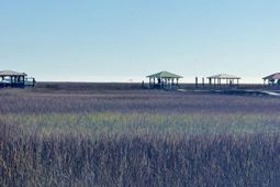 0 Palmetto Road photo 4