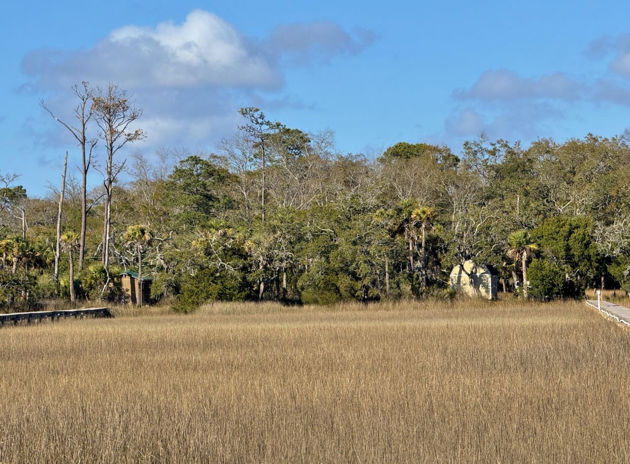 0 Palmetto Road Photo 6