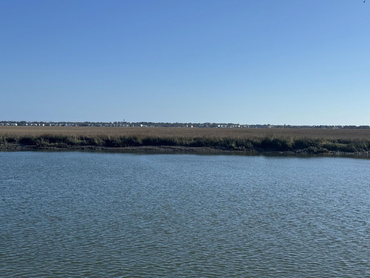 0 Palmetto Road Photo 7