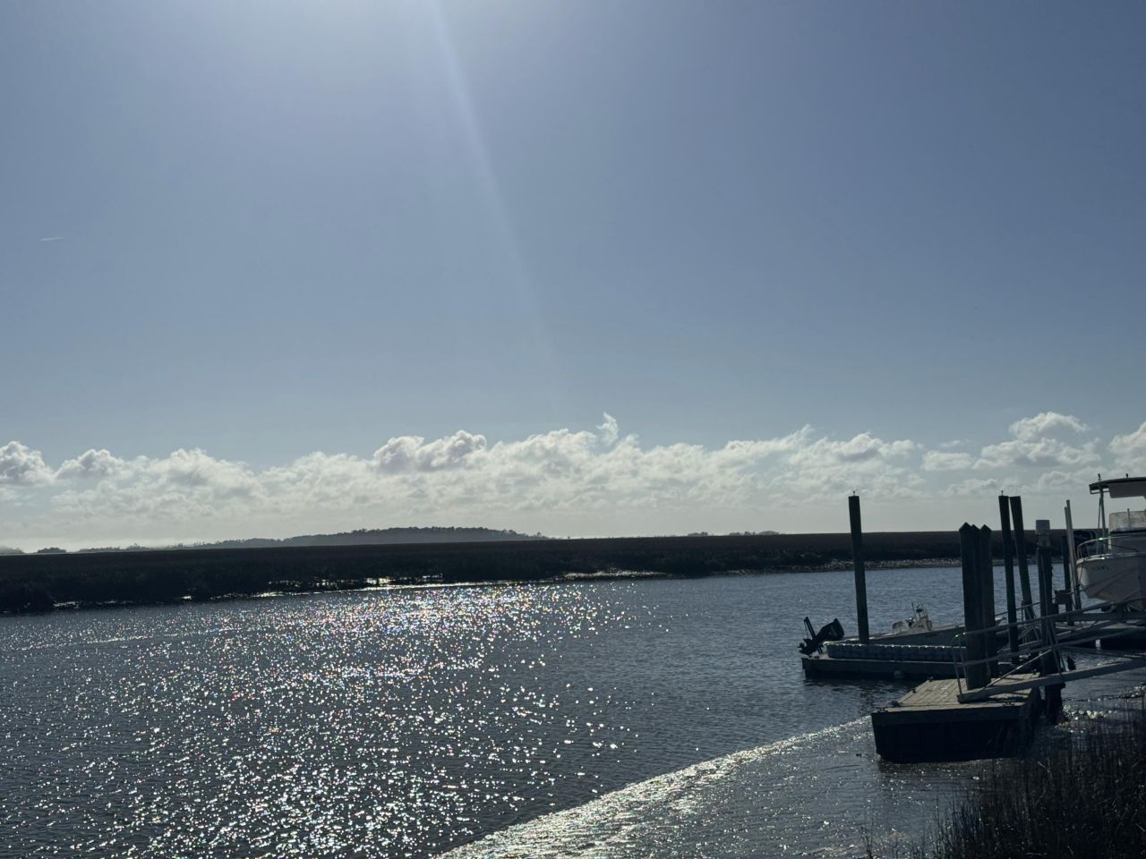 0 Palmetto Road Photo 8