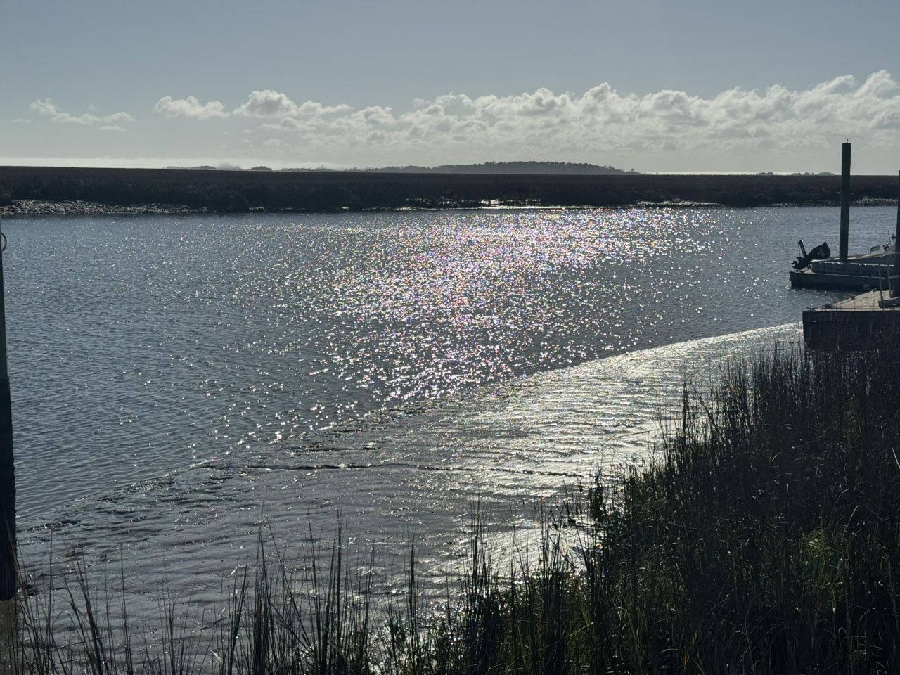 0 Palmetto Road Photo 9