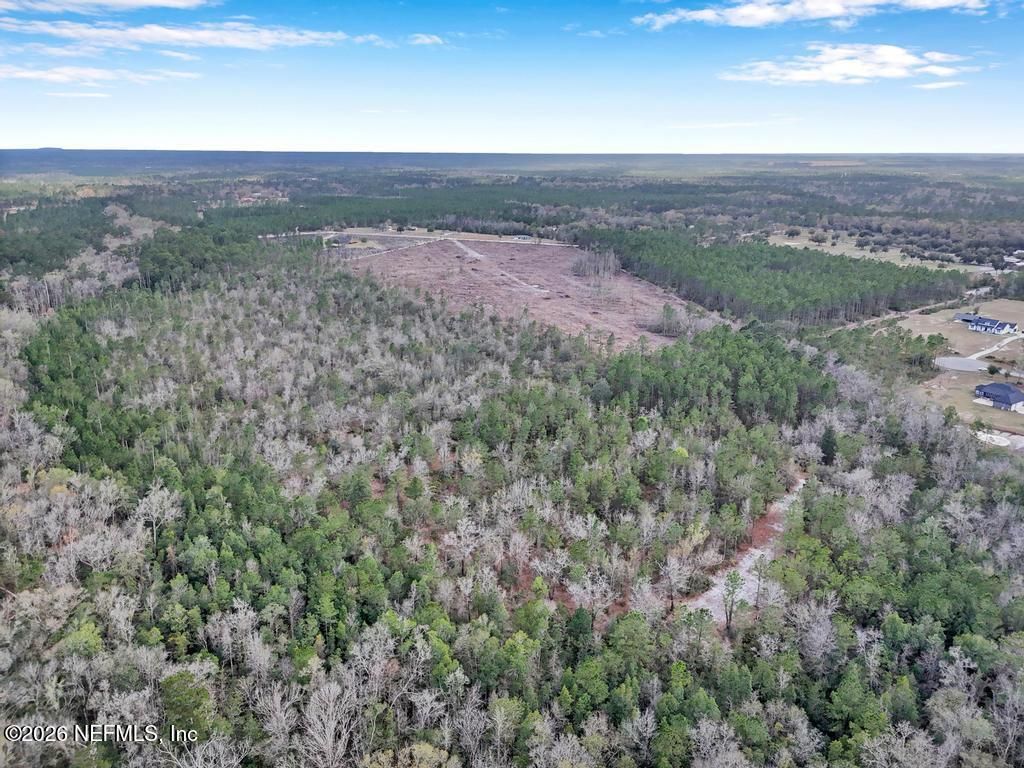 15364 Bullock Bluff Road, Bryceville, FL 32009 Photo