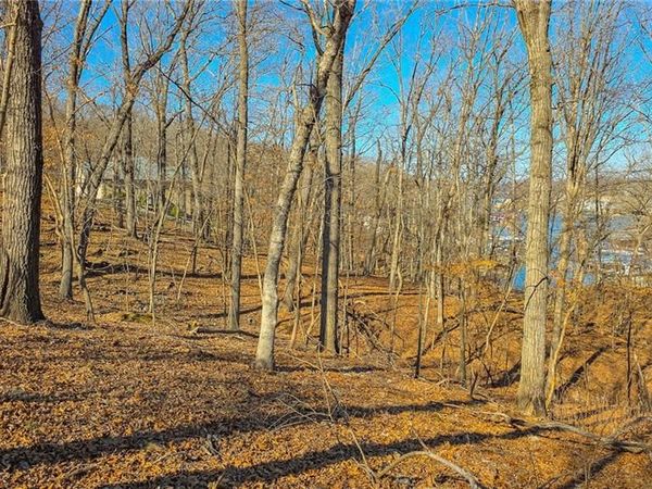 Lot #322 Oak Drive, Sunrise Beach, MO 65079