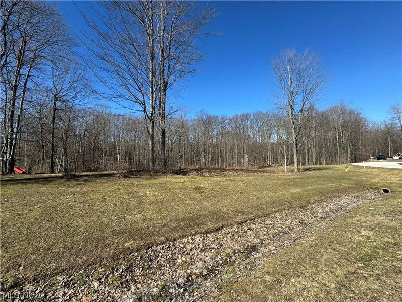 Buttonwood Lane, Ashtabula, OH 44004 Photo 2