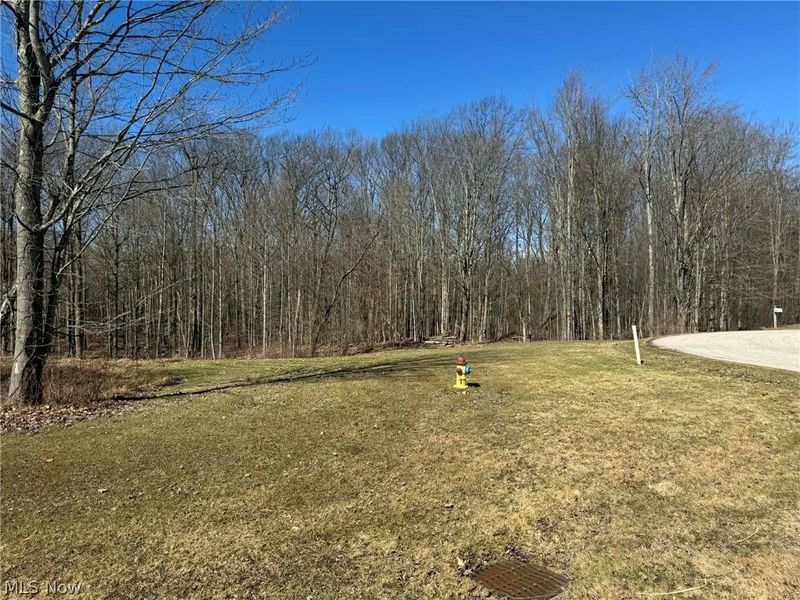 Buttonwood Lane, Ashtabula, OH 44004 Photo 3