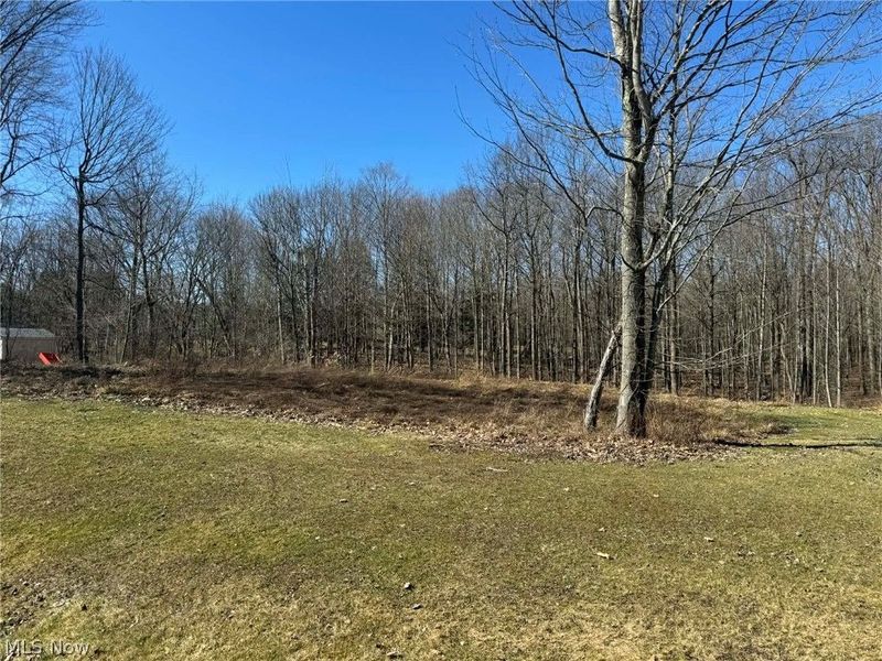 Buttonwood Lane, Ashtabula, OH 44004 Photo 4