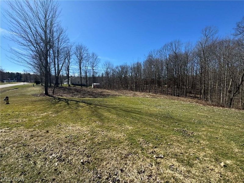 Buttonwood Lane, Ashtabula, OH 44004 Photo 6