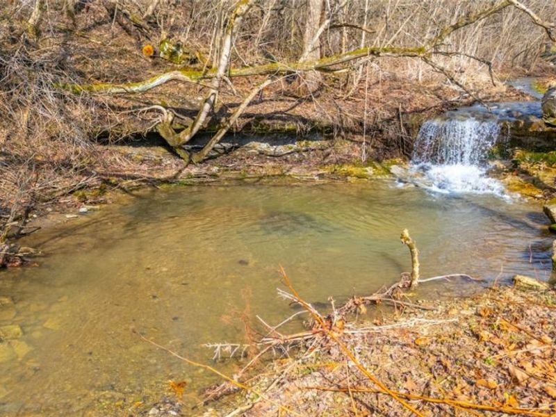 60830 Shaver Hill Road, Shadyside, OH 43947 Photo 31