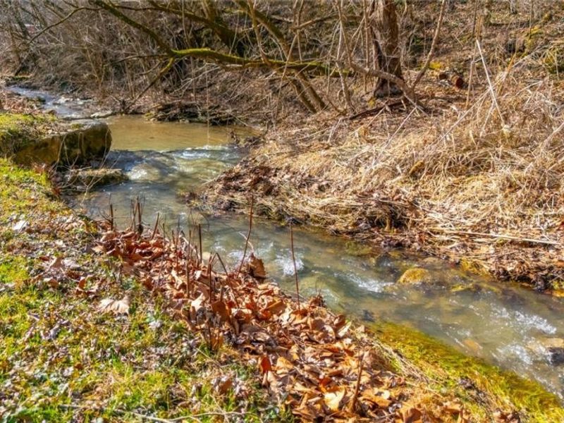 60830 Shaver Hill Road, Shadyside, OH 43947 Photo 33