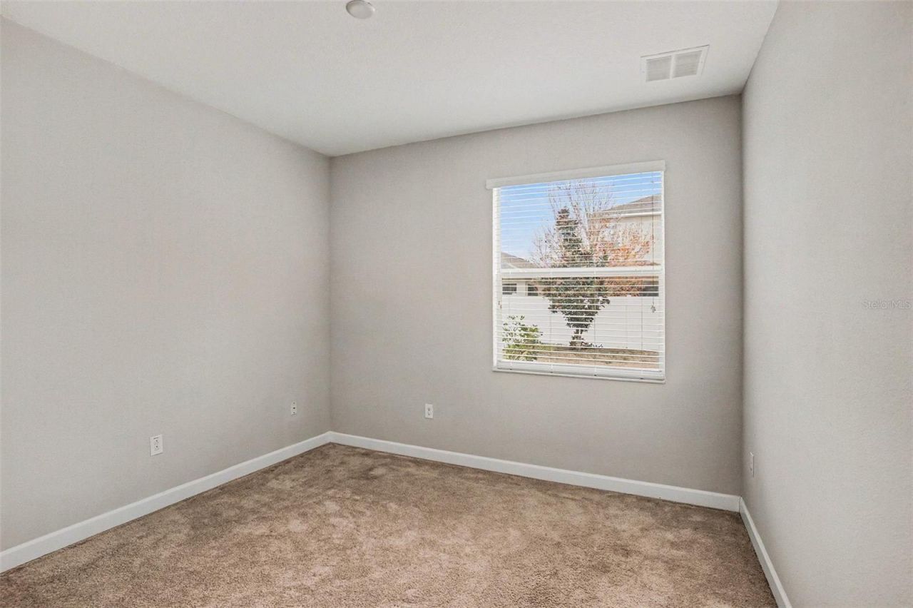 11755 Winterset Cove Drive, Riverview, FL 33579 Photo