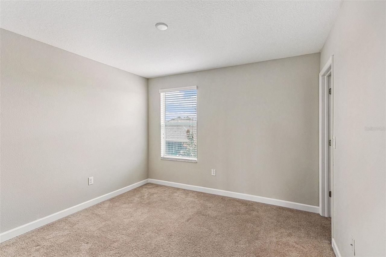11755 Winterset Cove Drive, Riverview, FL 33579 Photo