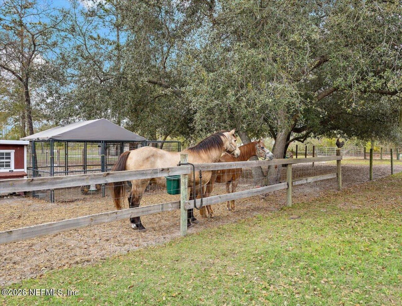 14394 Bob Burnsed Road, Glen St. Mary, FL 32040 Photo