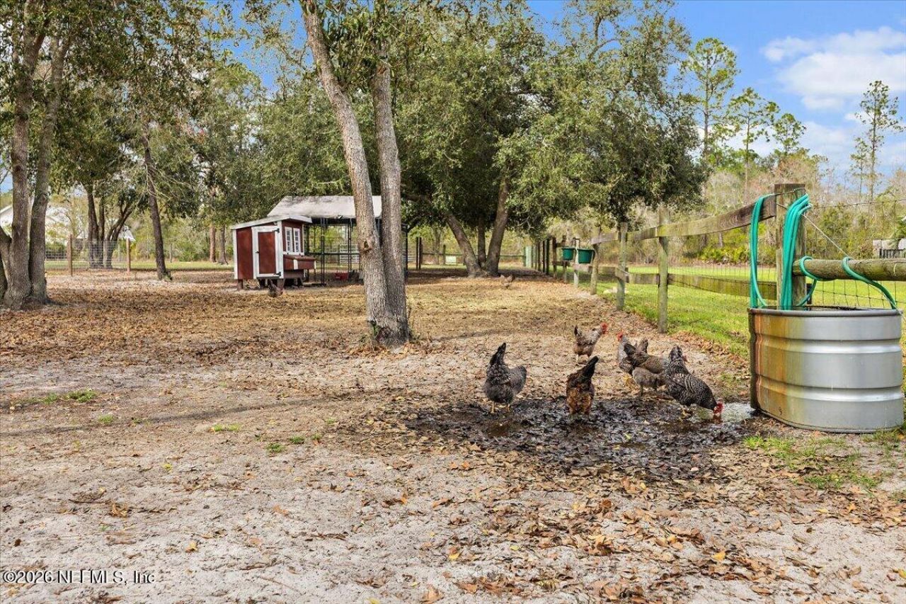 14394 Bob Burnsed Road, Glen St. Mary, FL 32040 Photo