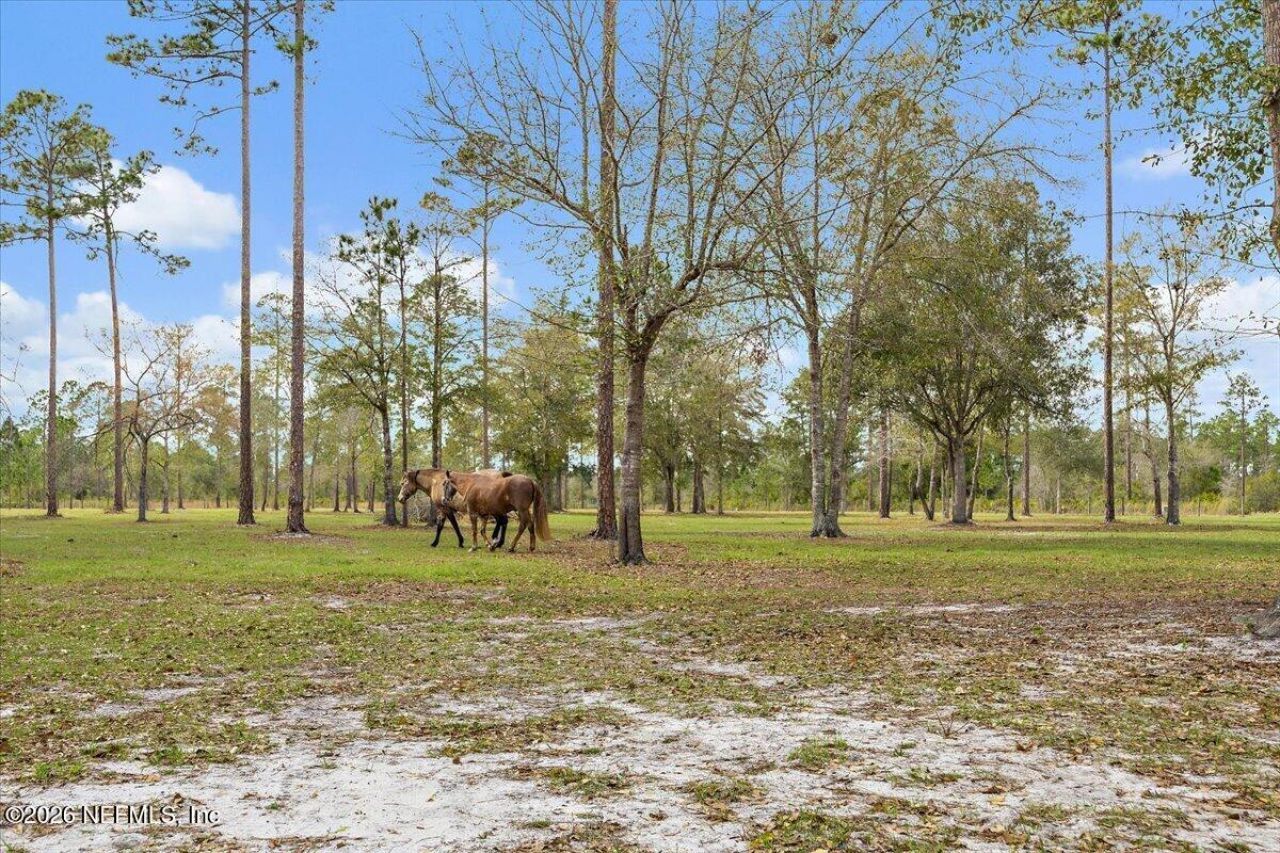 14394 Bob Burnsed Road, Glen St. Mary, FL 32040 Photo