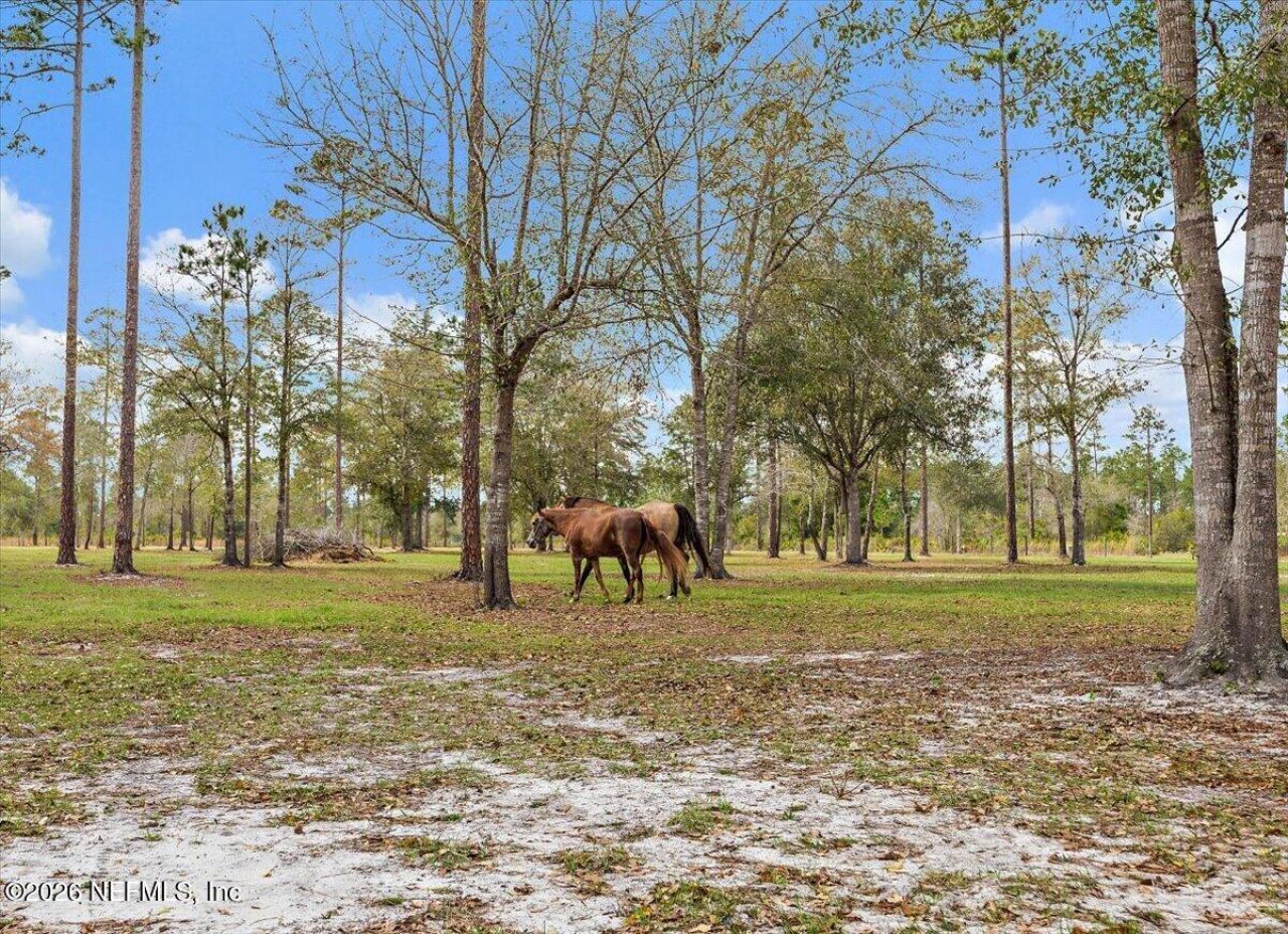 14394 Bob Burnsed Road, Glen St. Mary, FL 32040 Photo