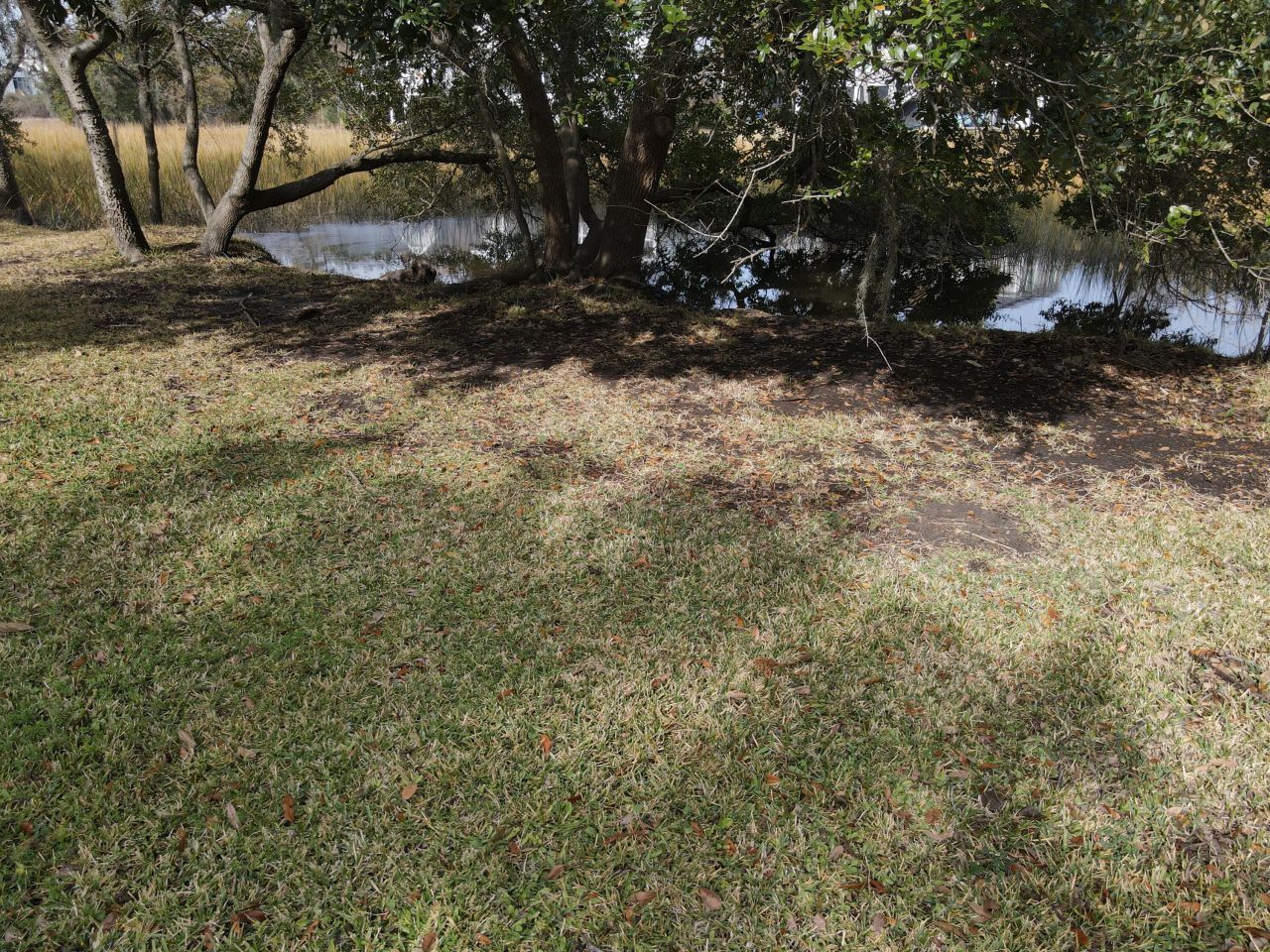 1062 Glenshaw Street Photo 10