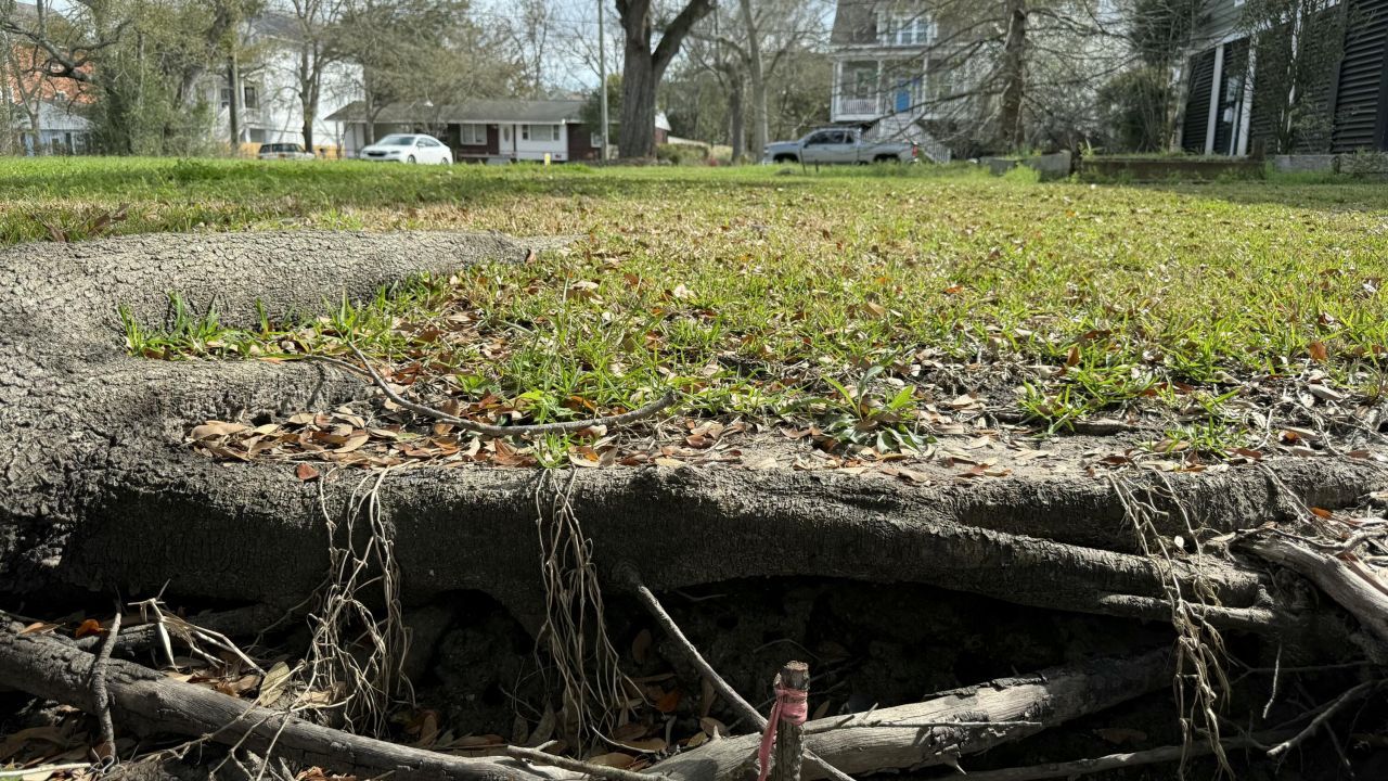 1062 Glenshaw Street Photo 6