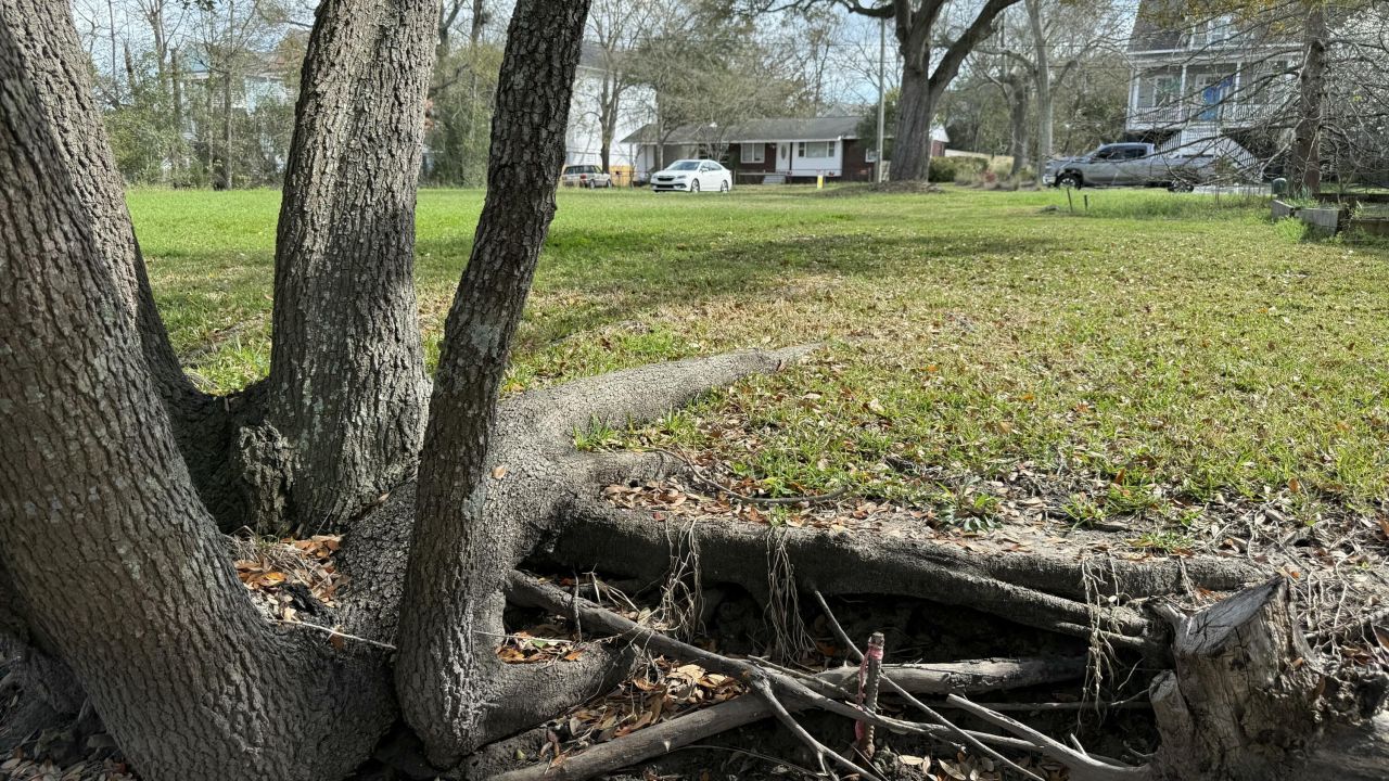 1062 Glenshaw Street Photo 7