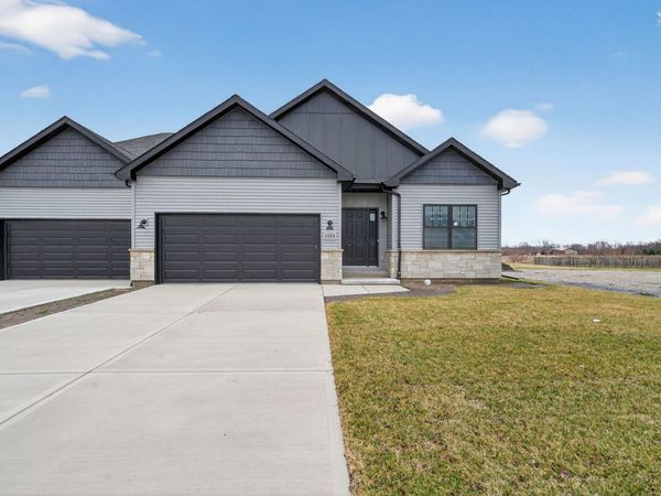 1175 S Farmstone Drive, Diamond, IL 60416