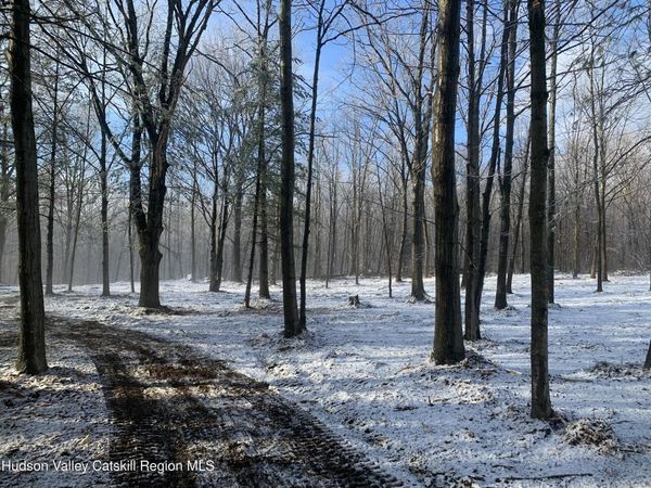 0 Harroway Road, Richmondville, NY 12149